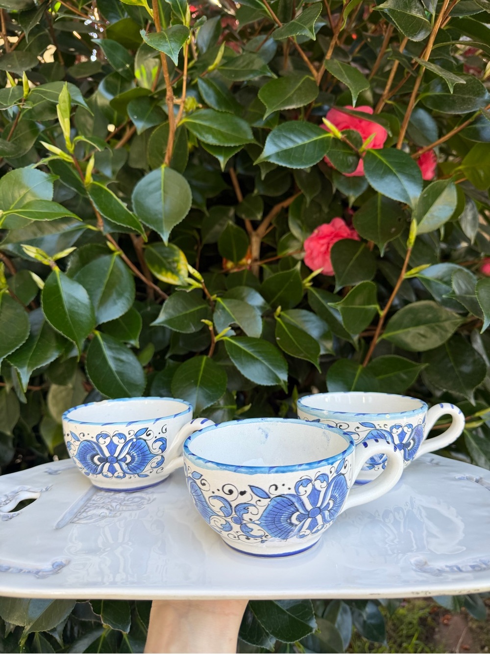 Italian Meridiana Hand Painted Mugs x3